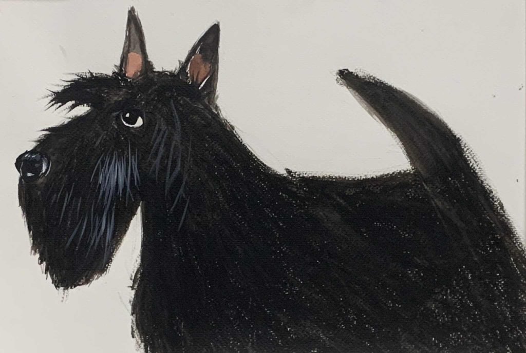 濡れたスコティッシュ・テリア